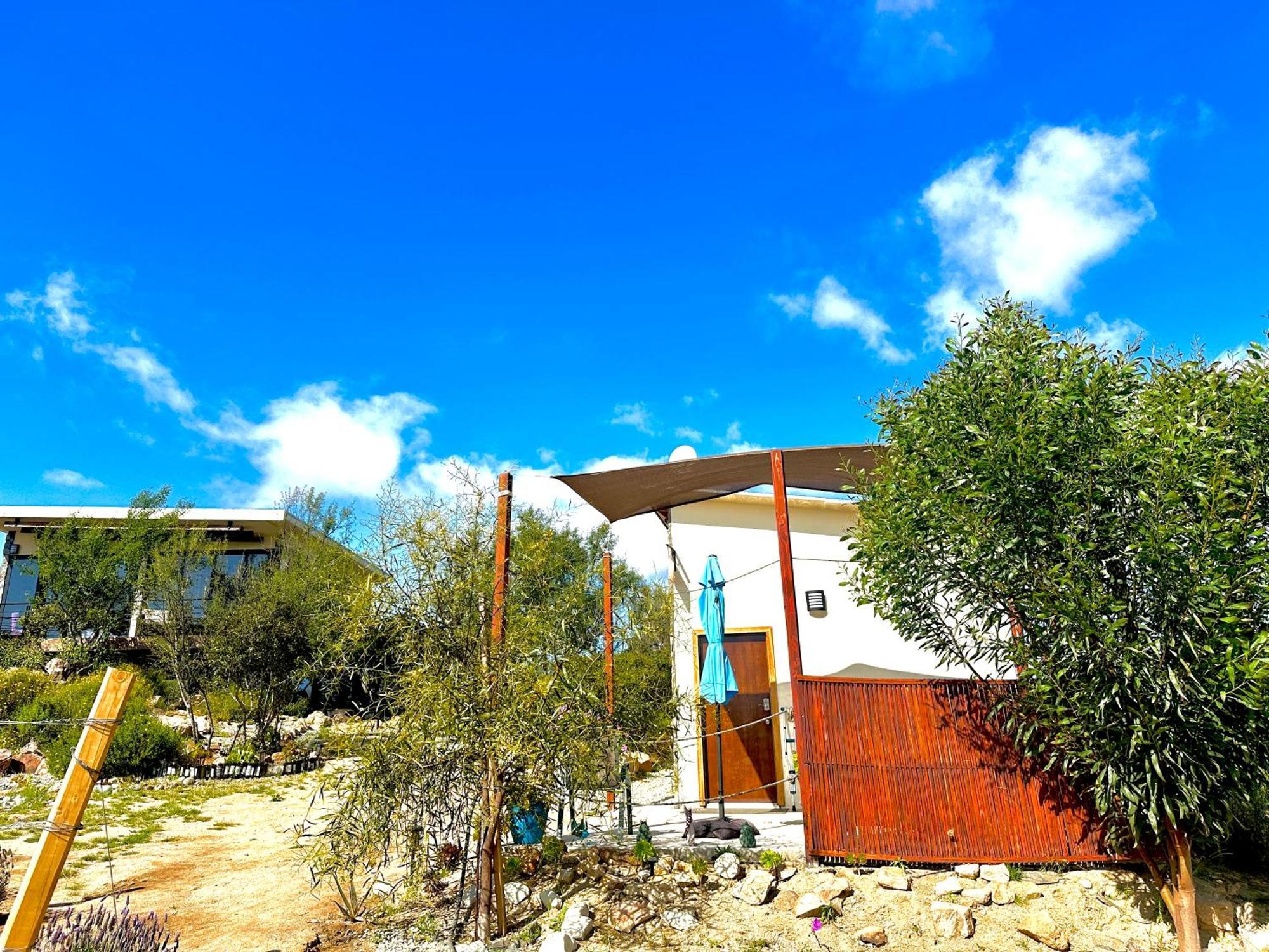Hotel Oasis 444 San Marcos  Esterno foto